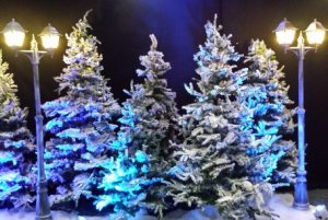 Narnia themed party - Event theming - Inventive Events