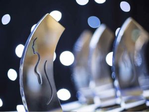 trophies for Award Ceremonies - Inventive Events